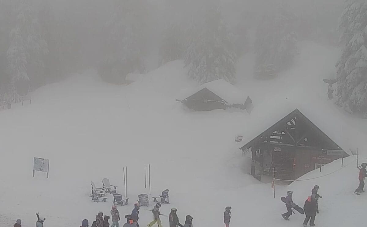 Chalet Cam at Grouse Mountain.